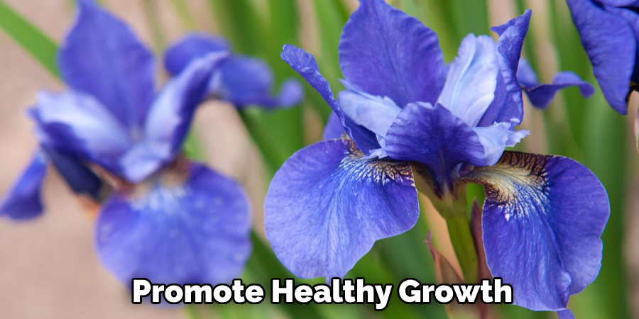 Promote Healthy Growth