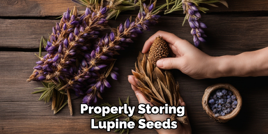 Properly Storing 
Lupine Seeds