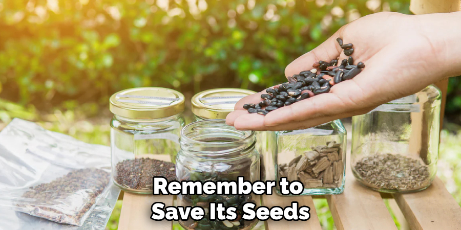 Remember to 
Save Its Seeds