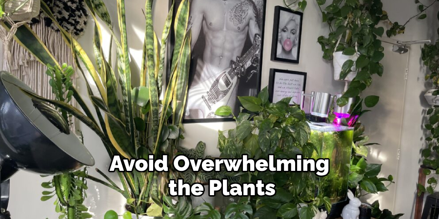 Avoid Overwhelming the Plants