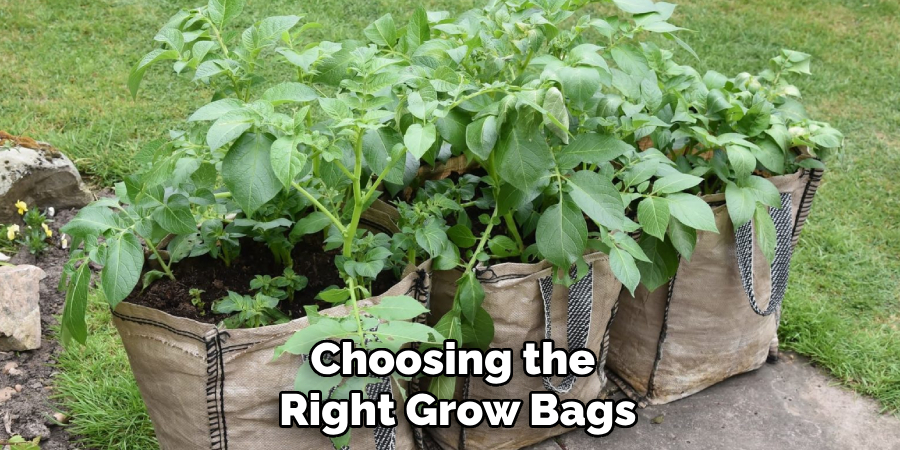 Choosing the 
Right Grow Bags