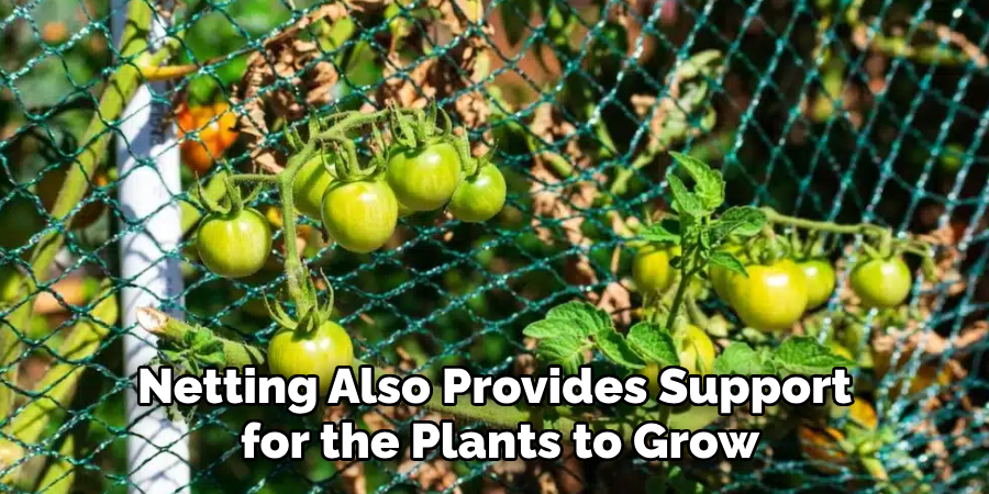 Netting Also Provides Support
 for the Plants to Grow