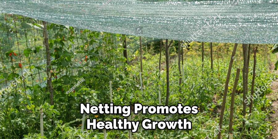 Netting Promotes
Healthy Growth