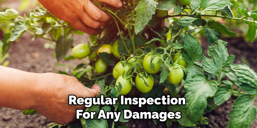 Regular Inspection 
For Any Damages