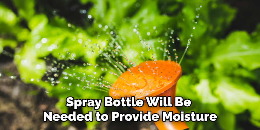 Spray Bottle Will Be 
Needed to Provide Moisture