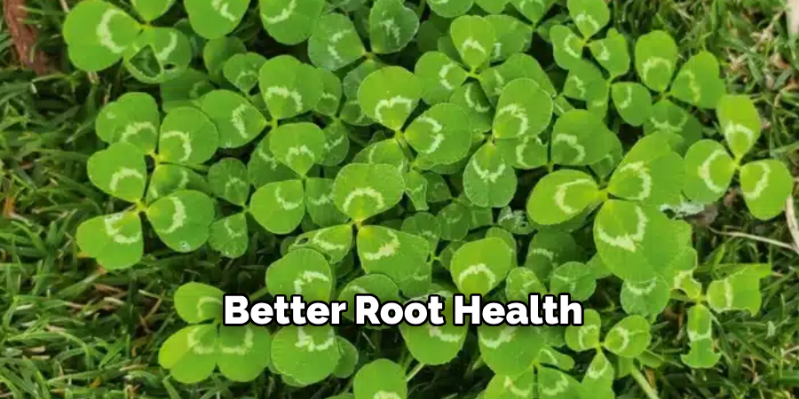 Better Root Health