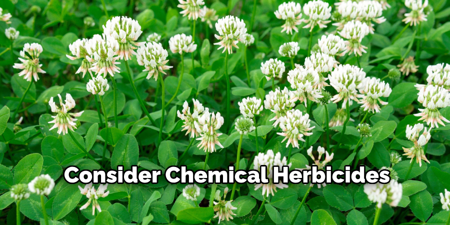Consider Chemical Herbicides