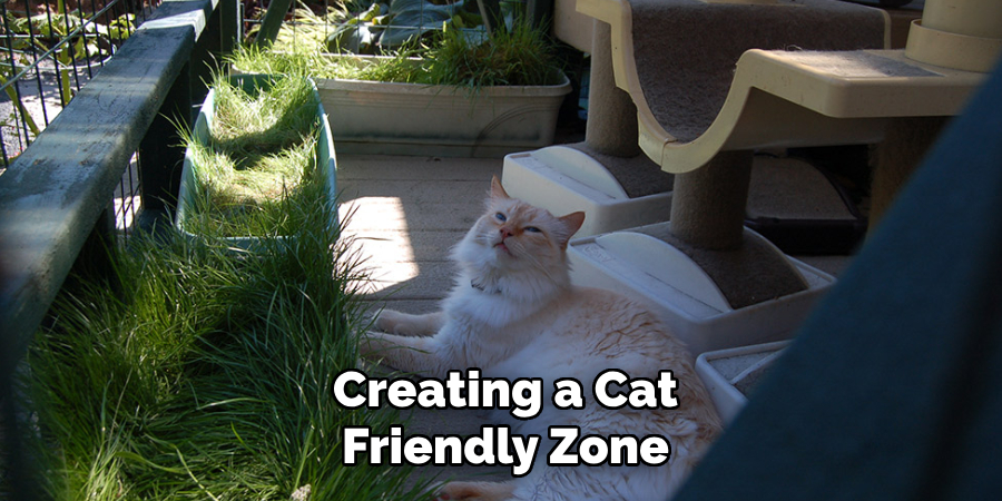 Creating a Cat-Friendly Zone