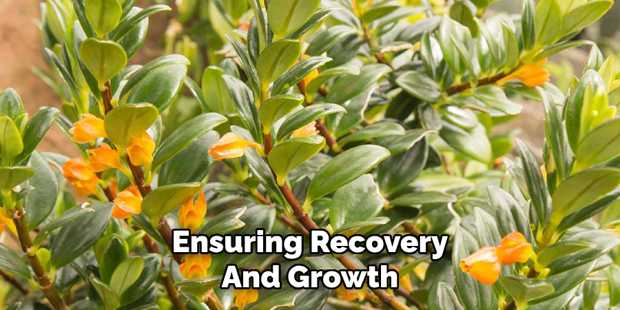 Ensuring Recovery and Growth