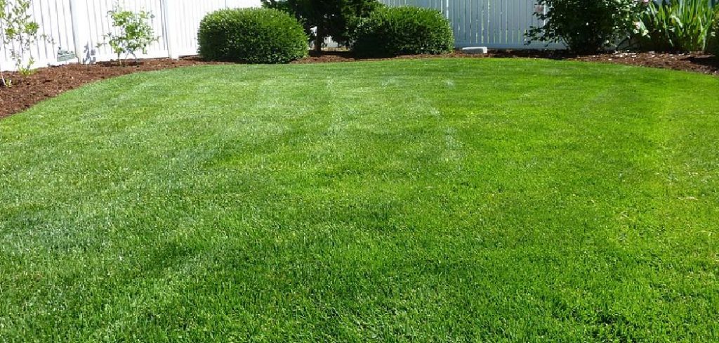 How to Get Rid of Clover in Garden
