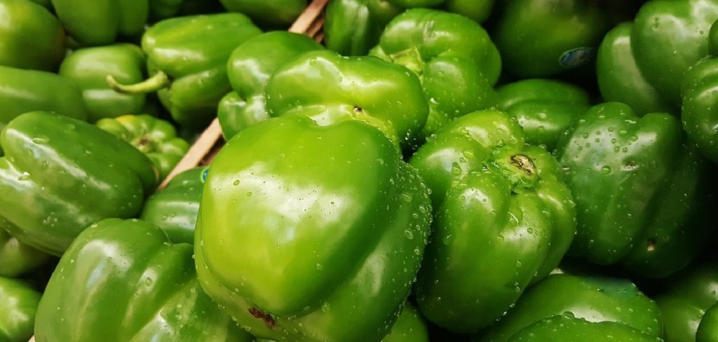 How to Preserve Green Peppers from The Garden