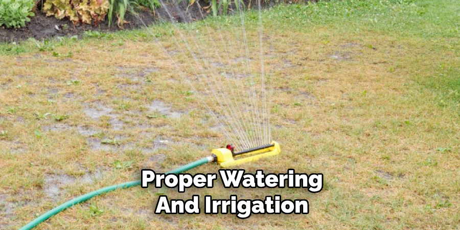 Proper Watering and Irrigation