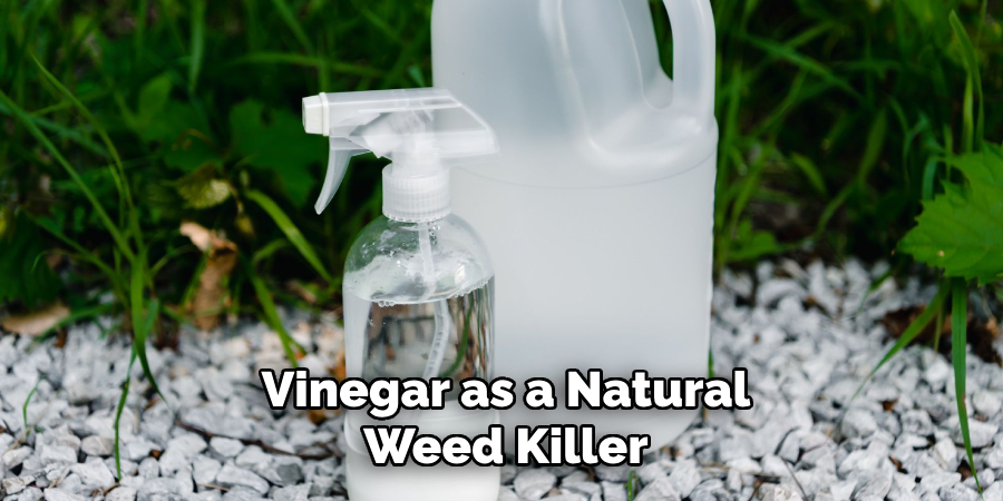 Vinegar as a Natural Weed Killer