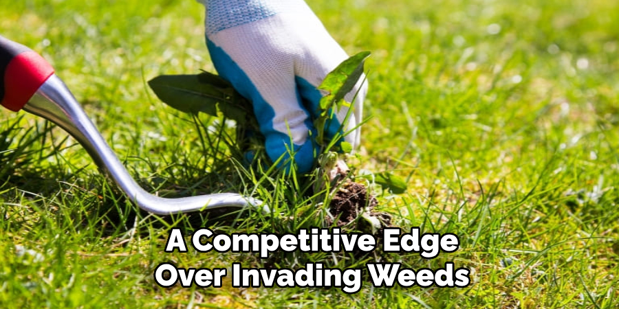 A Competitive Edge
Over Invading Weeds