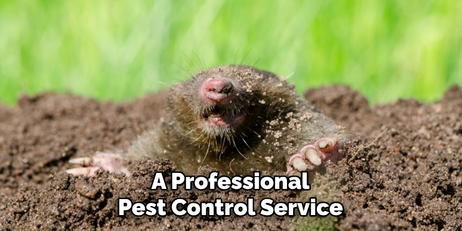 A Professional
Pest Control Service