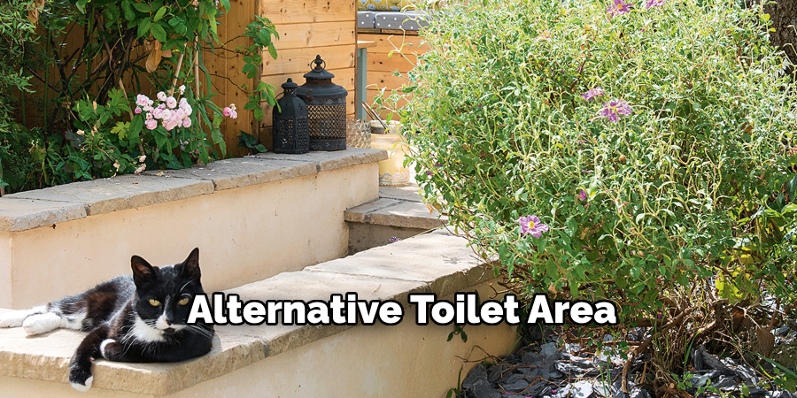 Alternative Toilet Area