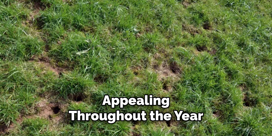 Appealing
Throughout the Year