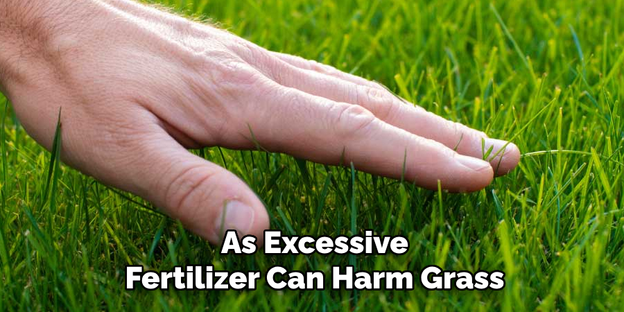 As Excessive
Fertilizer Can Harm Grass
