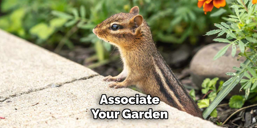 Associate
Your Garden