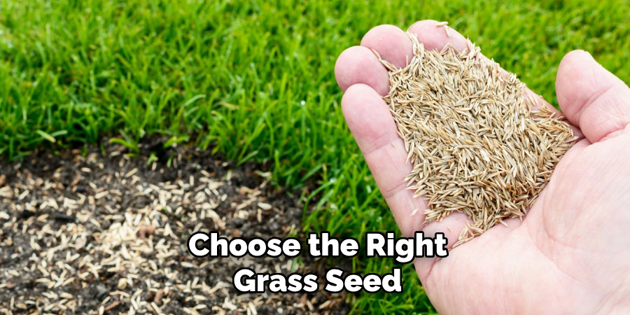 Choose the Right Grass Seed