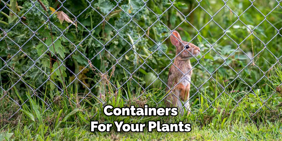 Containers
For Your Plants
