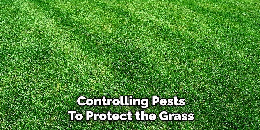 Controlling Pests
To Protect the Grass