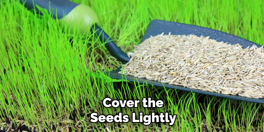 Cover the Seeds Lightly