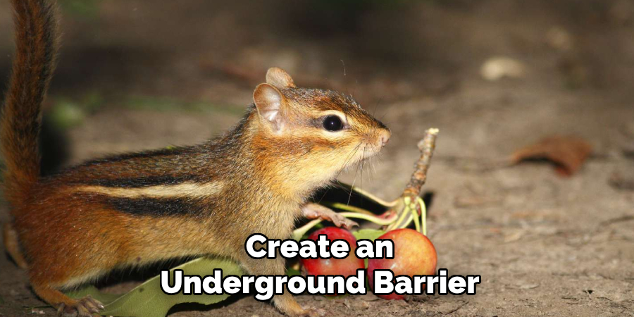 Create an
Underground Barrier