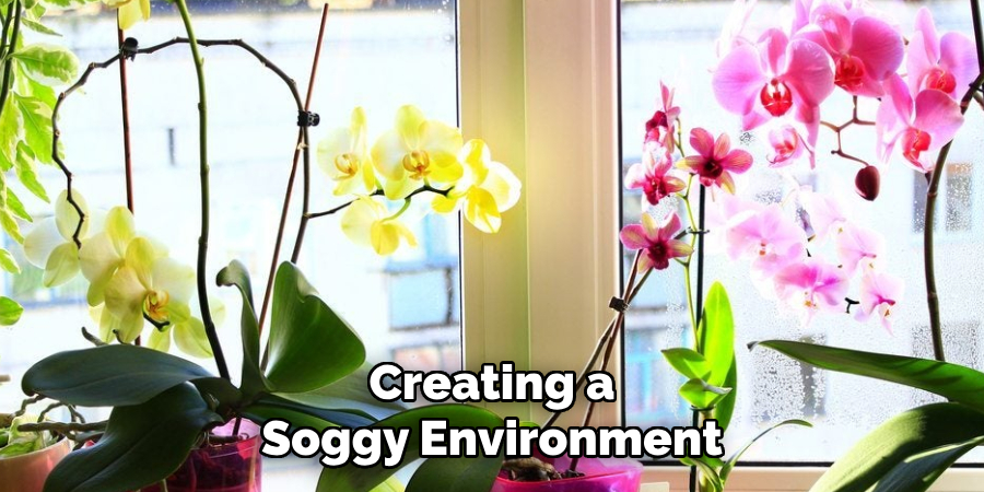 Creating a
Soggy Environment
