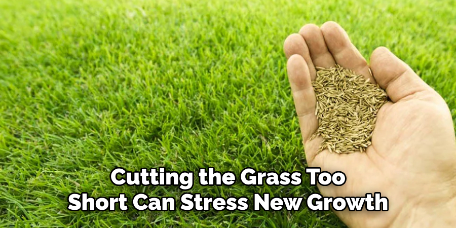Cutting the Grass Too
Short Can Stress New Growth