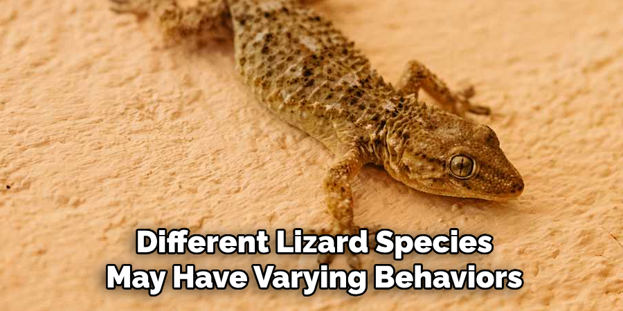 Different Lizard Species
May Have Varying Behaviors