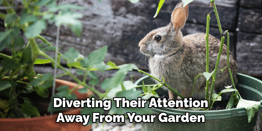 Diverting Their Attention
Away From Your Garden