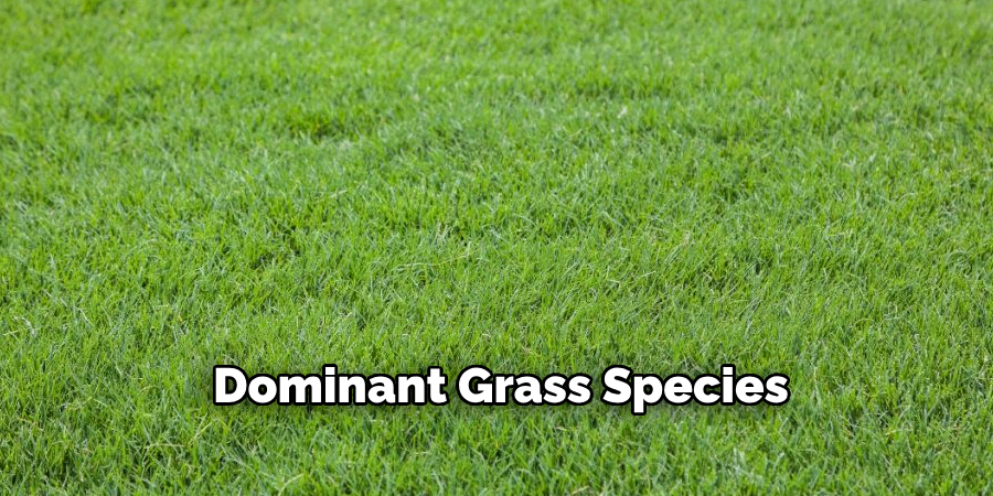 Dominant Grass Species