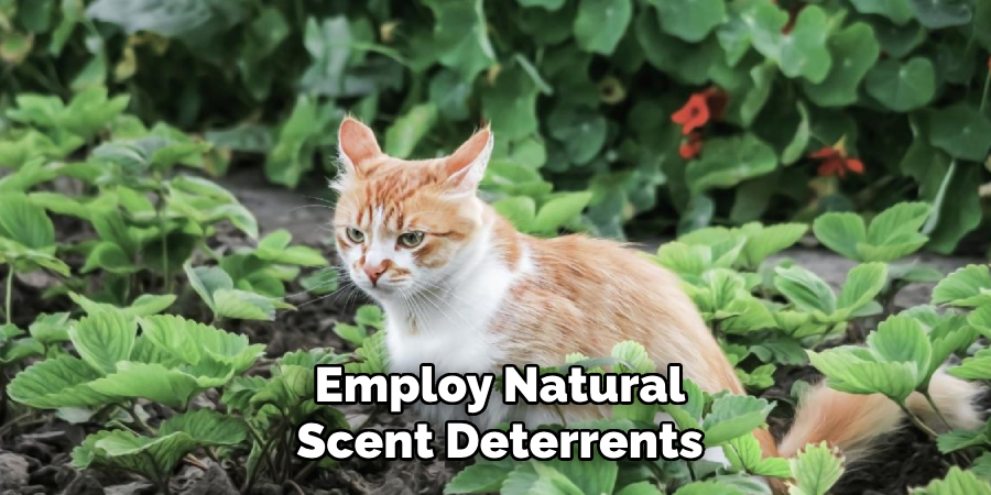 Employ Natural Scent Deterrents