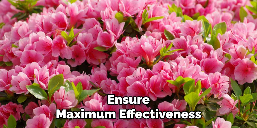 Ensure
Maximum Effectiveness