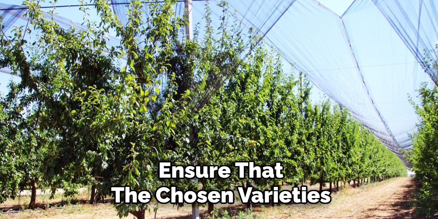 Ensure That
The Chosen Varieties