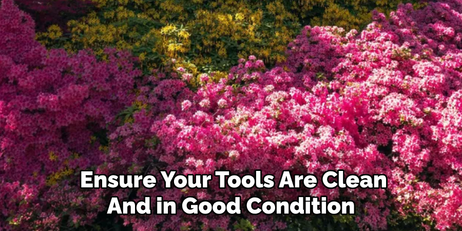 Ensure Your Tools Are Clean
And in Good Condition