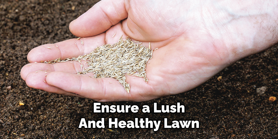 Ensure a Lush
And Healthy Lawn