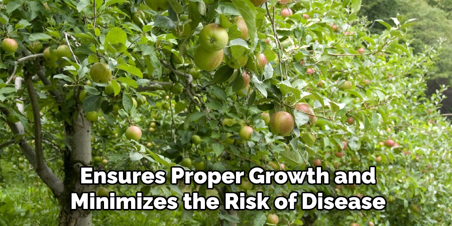 Ensures Proper Growth and
Minimizes the Risk of Disease