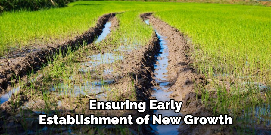 Ensuring Early
Establishment of New Growth