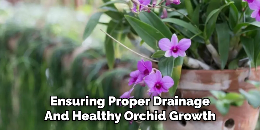 Ensuring Proper Drainage
And Healthy Orchid Growth