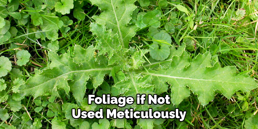 Foliage if Not
Used Meticulously