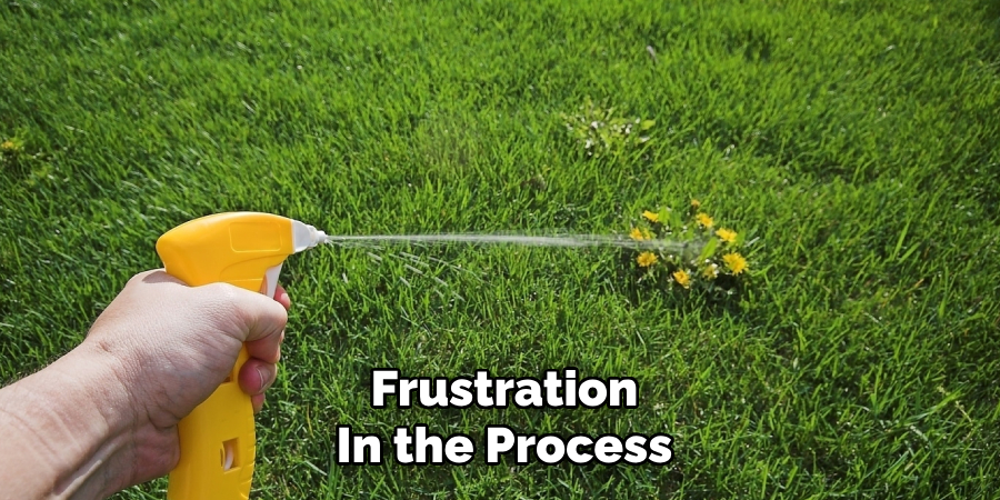 Frustration
In the Process