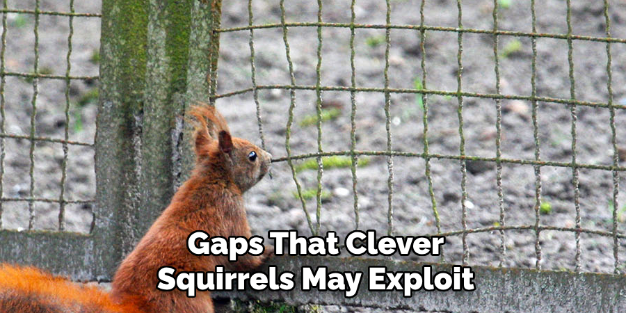 Gaps That Clever
Squirrels May Exploit