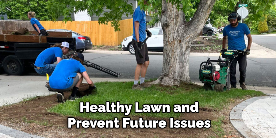 Healthy Lawn and
Prevent Future Issues