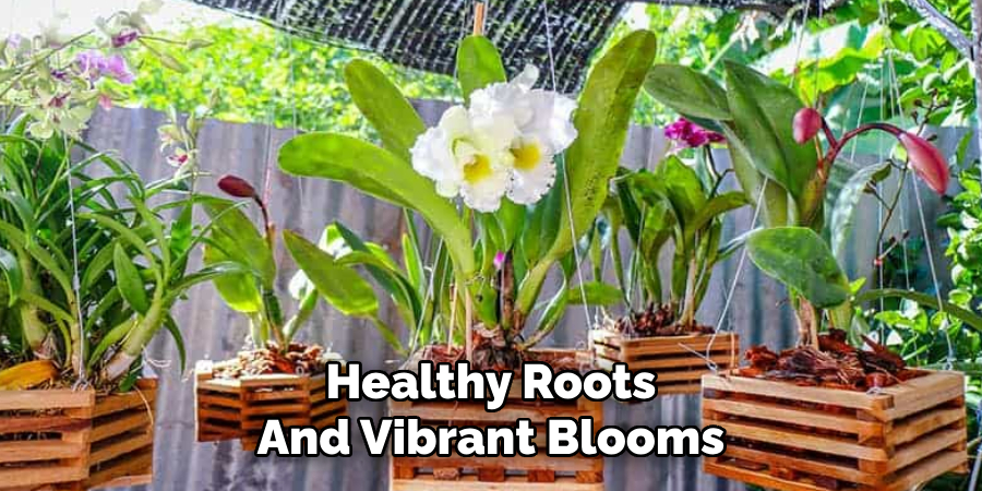 Healthy Roots
And Vibrant Blooms