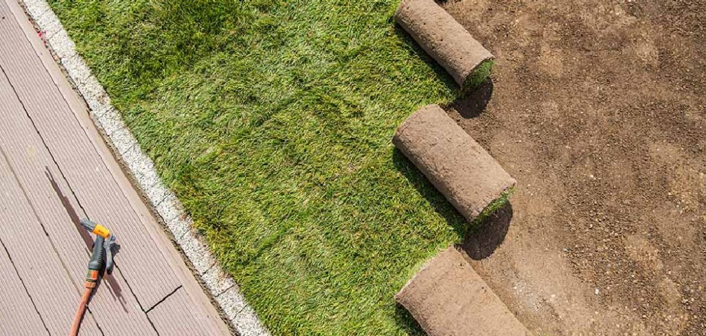 How and When to Roll Your Lawn