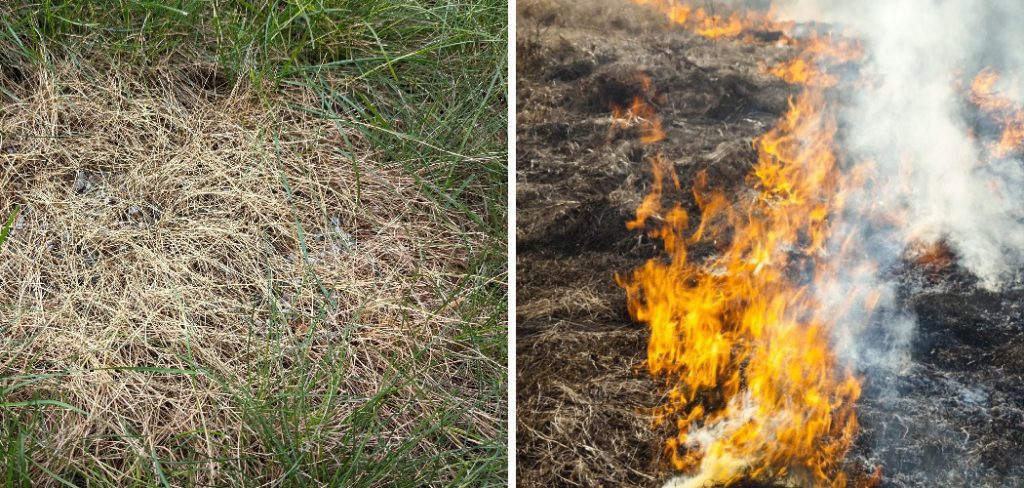 How to Burn Your Lawn