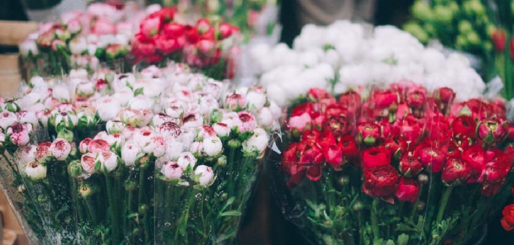 How to Care for Dianthus in Pots