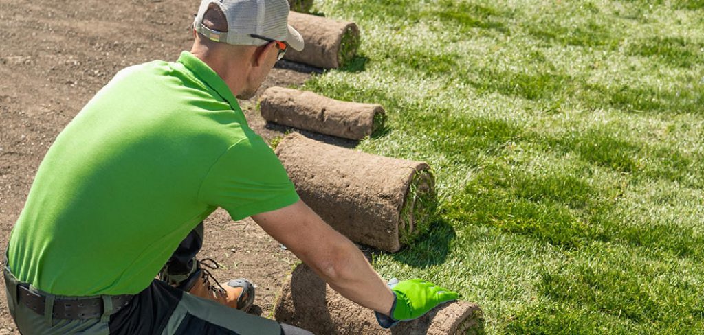 How to Fill in Holes in Lawn